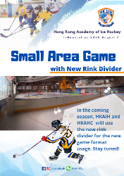 Small Area Game with New Rink Divider 